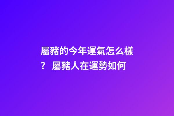 屬豬的今年運氣怎么樣？ 屬豬人在運勢如何
